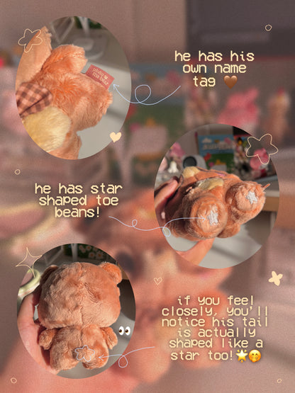 Pluto the Bear Plushie Keychain